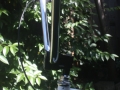 1985 SE Quadangle 026