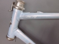 Vintage Fuji - The Fuji